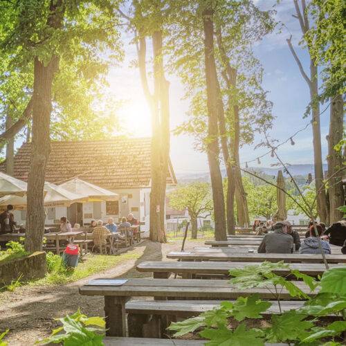 Wohnmobilstellplatz Memmelsdorf - Hotel Brauerei Gasthof Höhn — photo 6