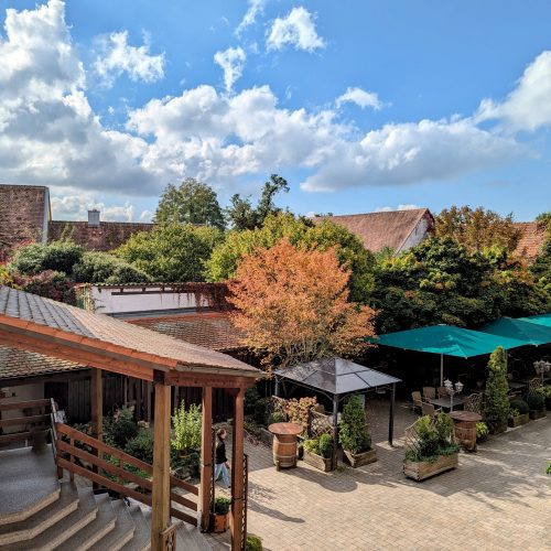 Blick auf den Hofgarten